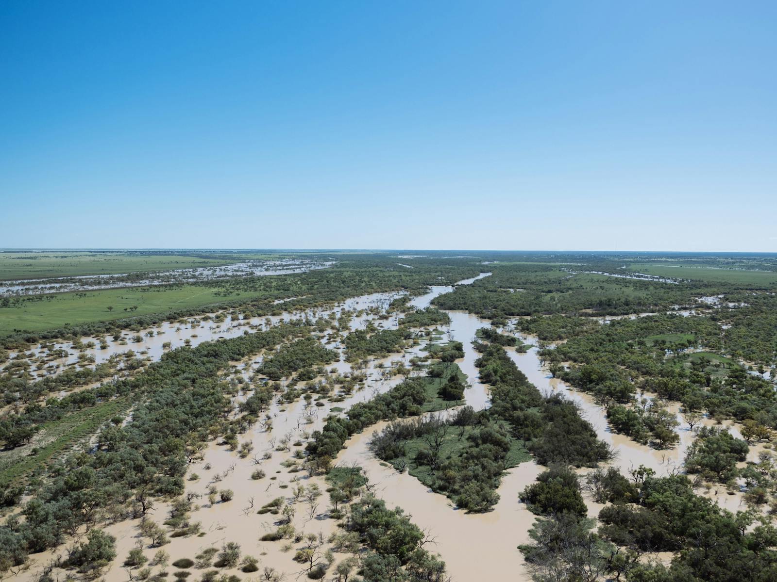 Channel country in the Thomson river near Longreach in outback Queensland
