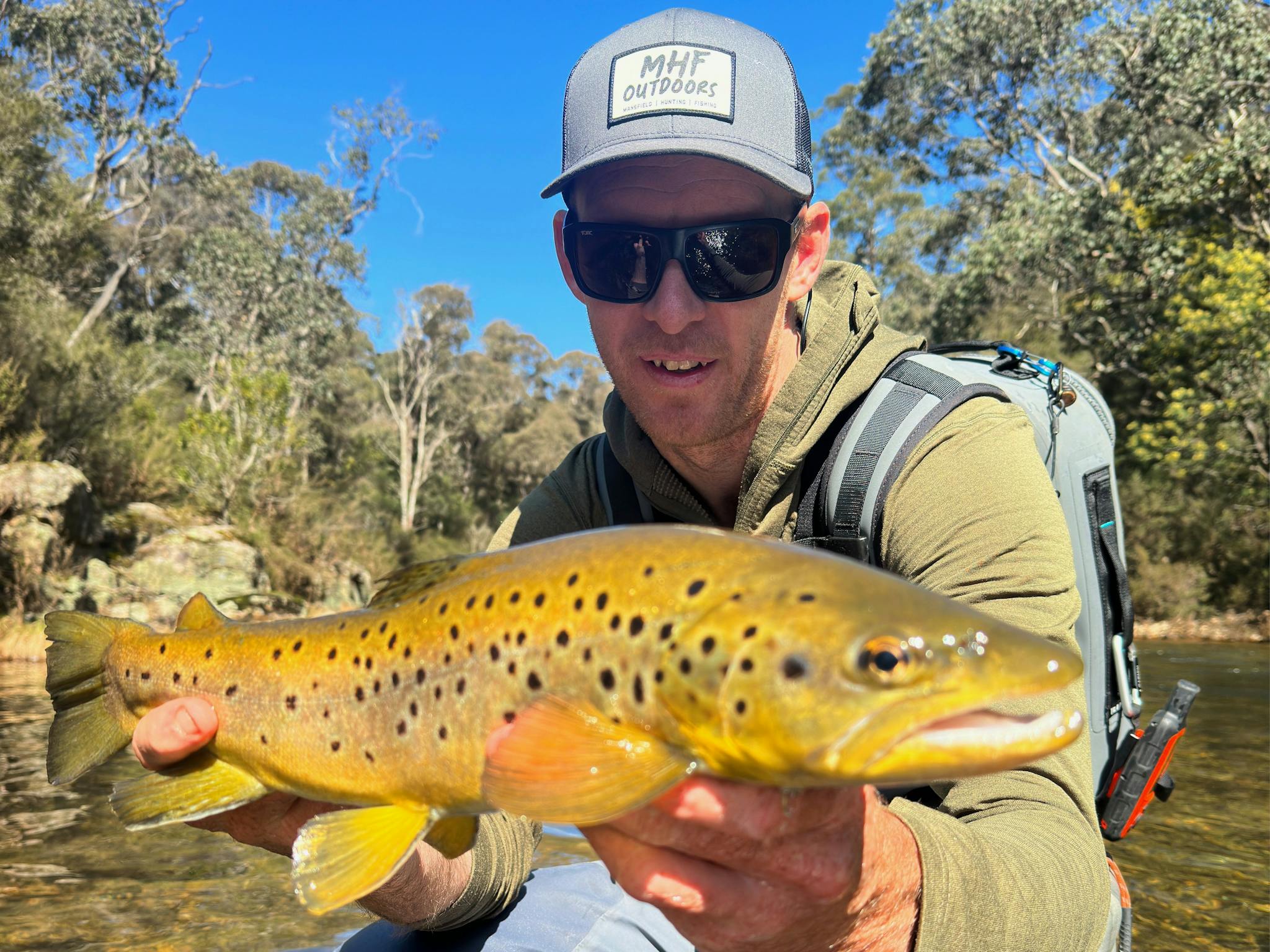 A High Country Brown Trout