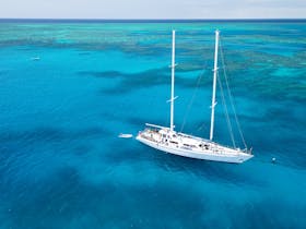 Summer Jo Day Tour Charter