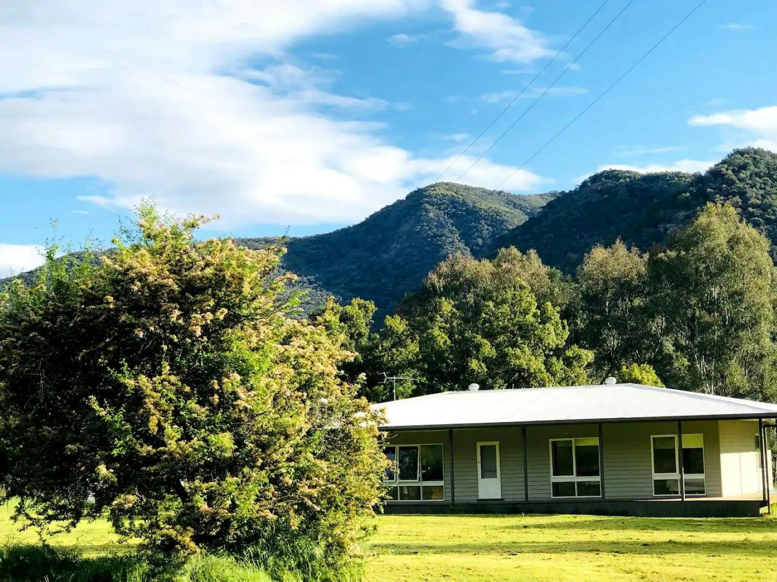 로완힐 외곽. 푸른 잔디 큰 나무와 회색 건물