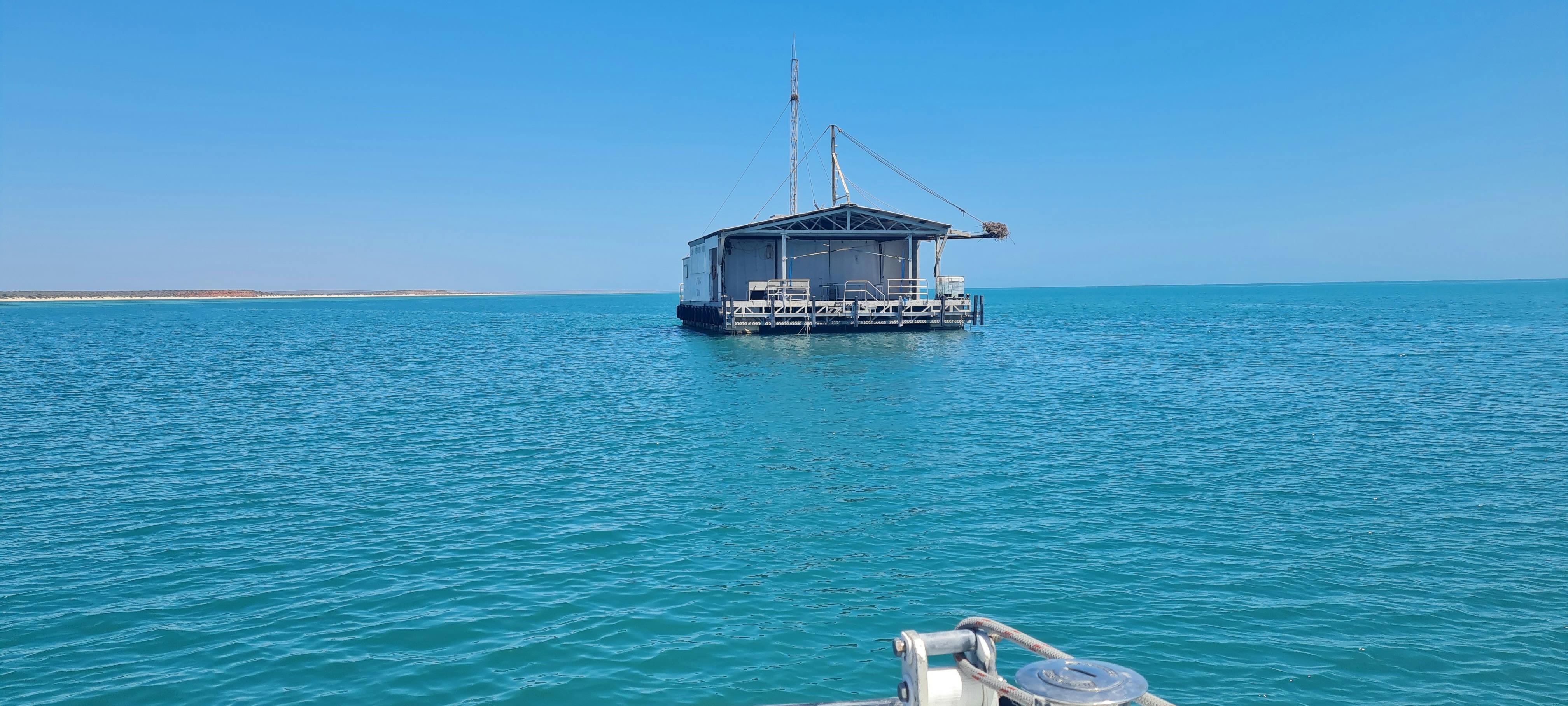 Monkey Mia/Shark Bay 5 day tour Blue Juice Charters