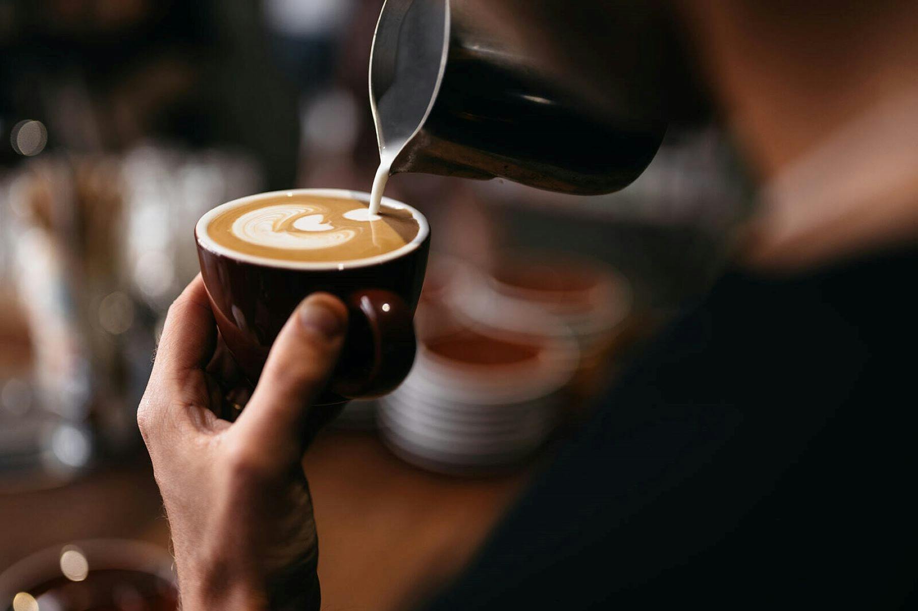 White Whale Coffee Roasters
