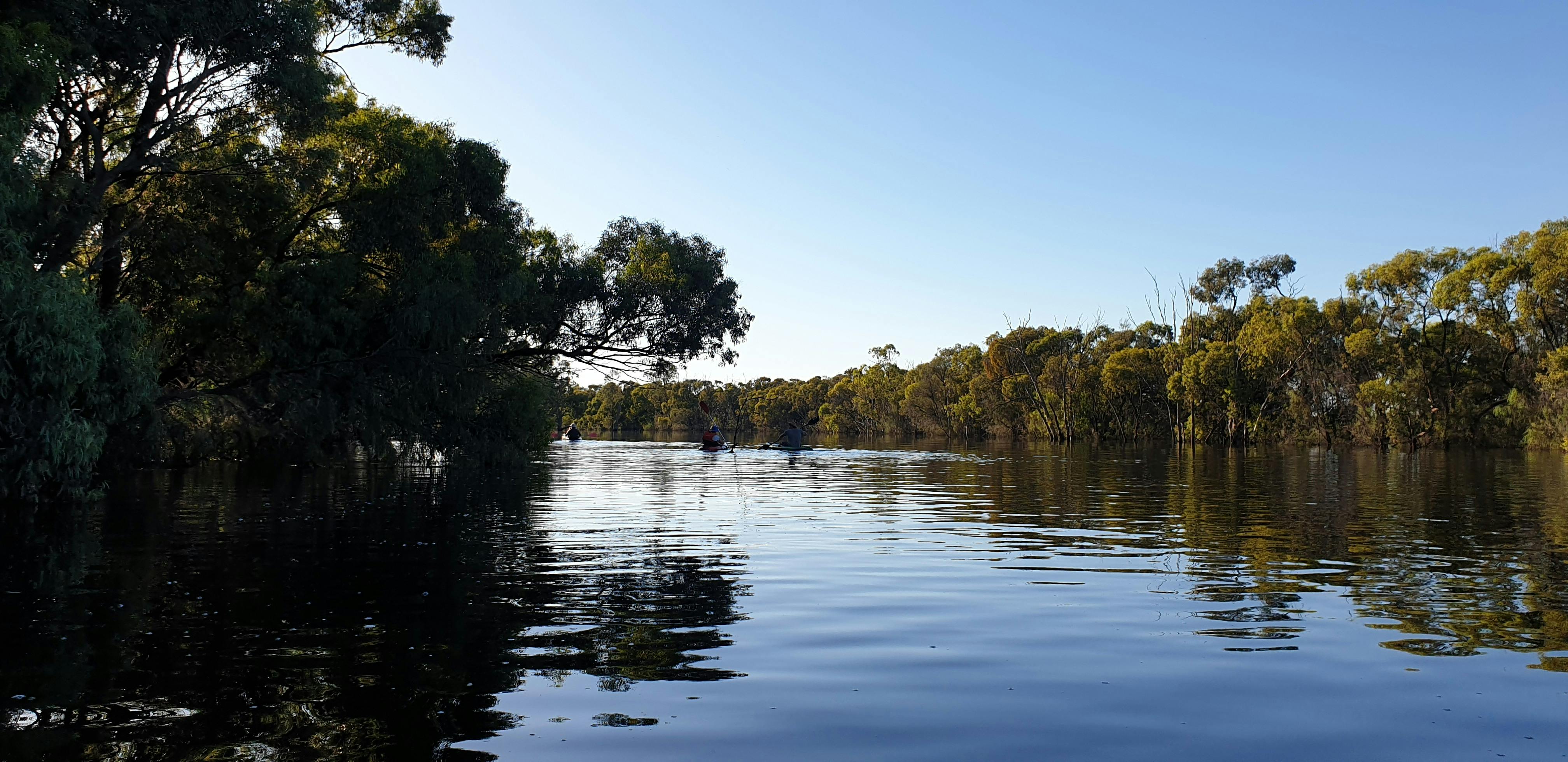 Paddling early morning on Kings Billabong