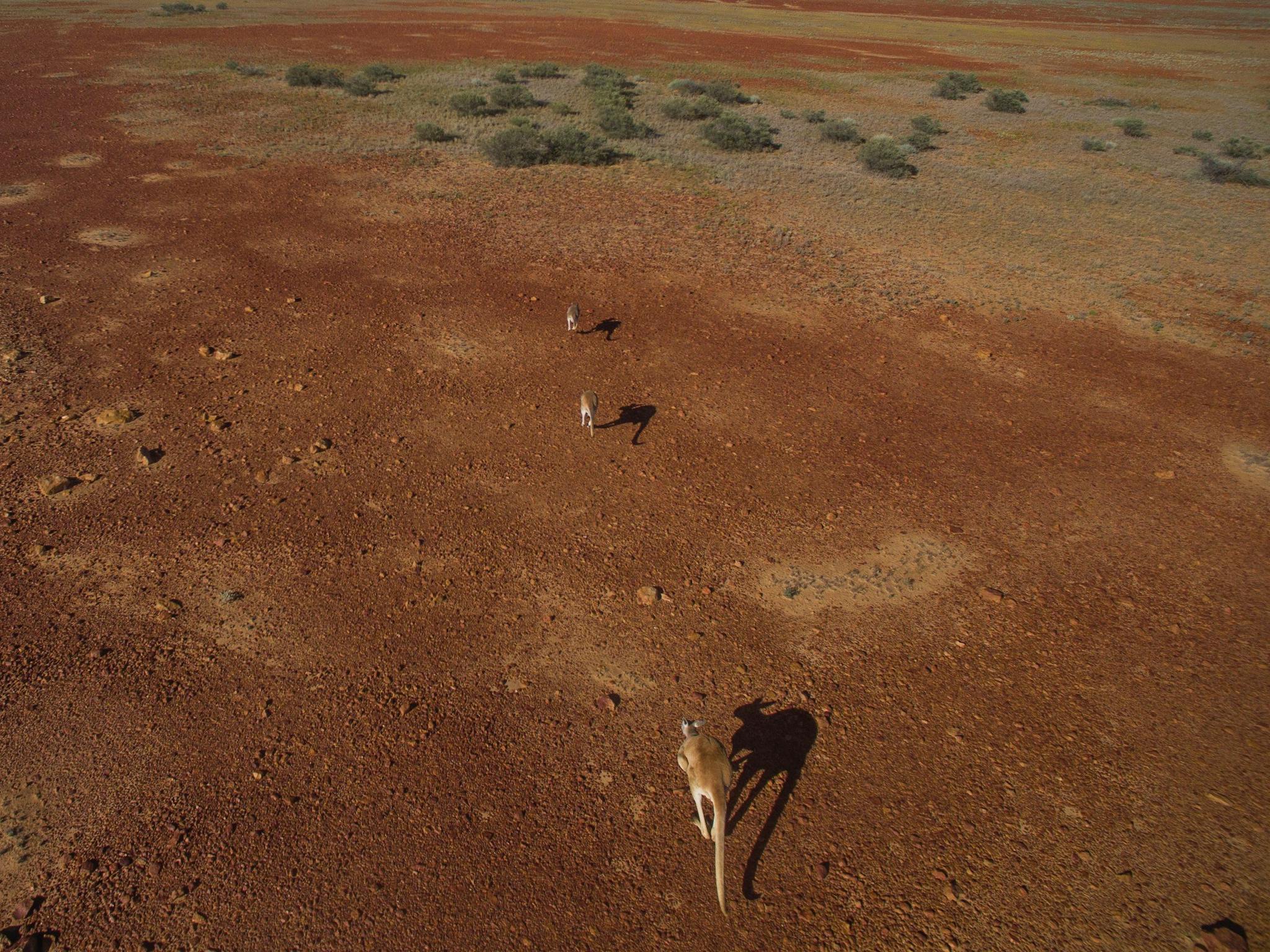 Diamantina Shire Diamantina Shire