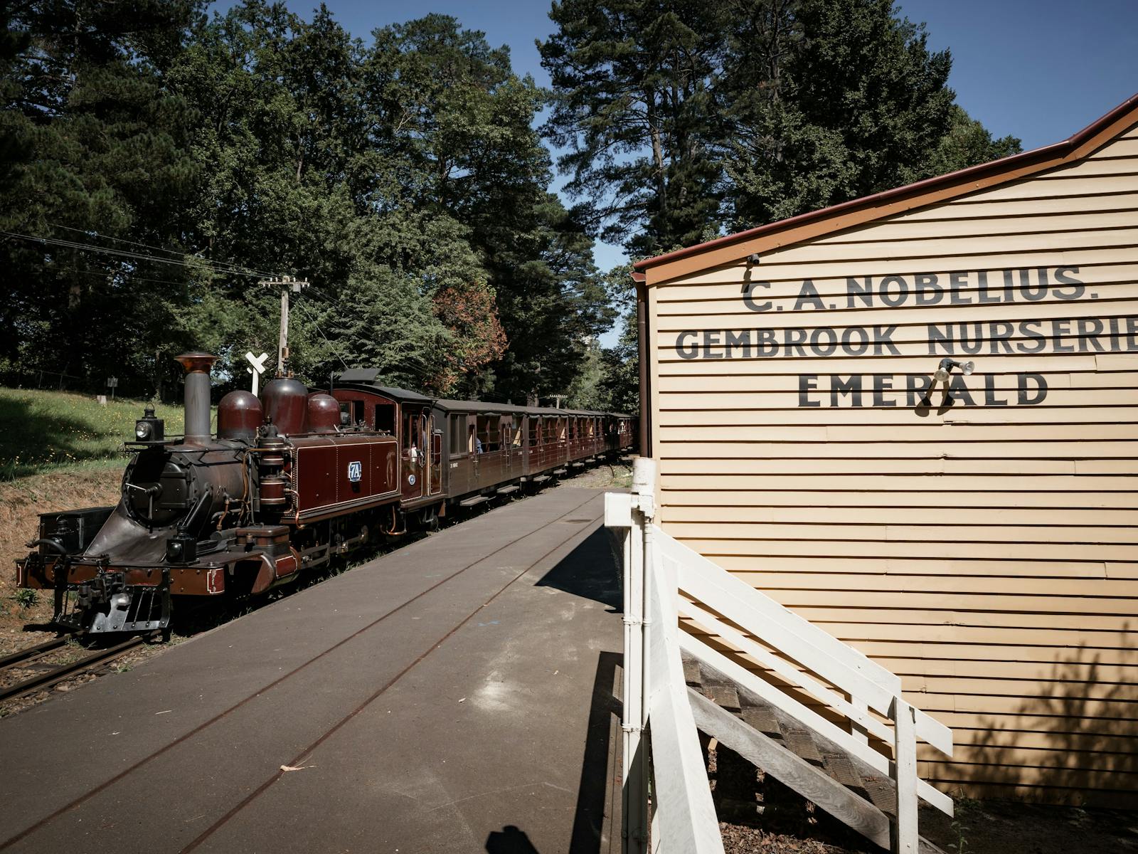 Image for Train & Lunch at the Packing Shed