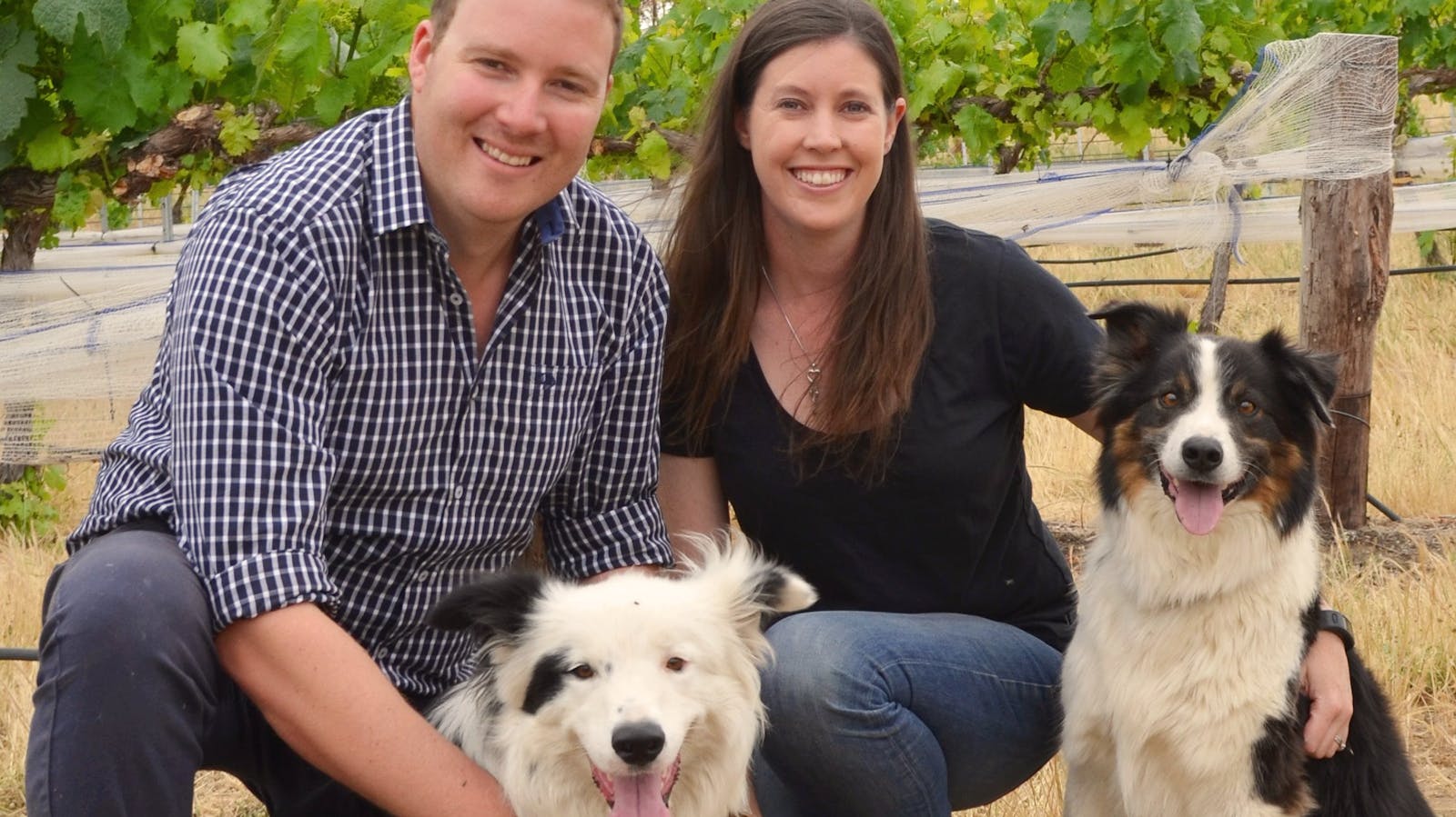 Fernfield Wines