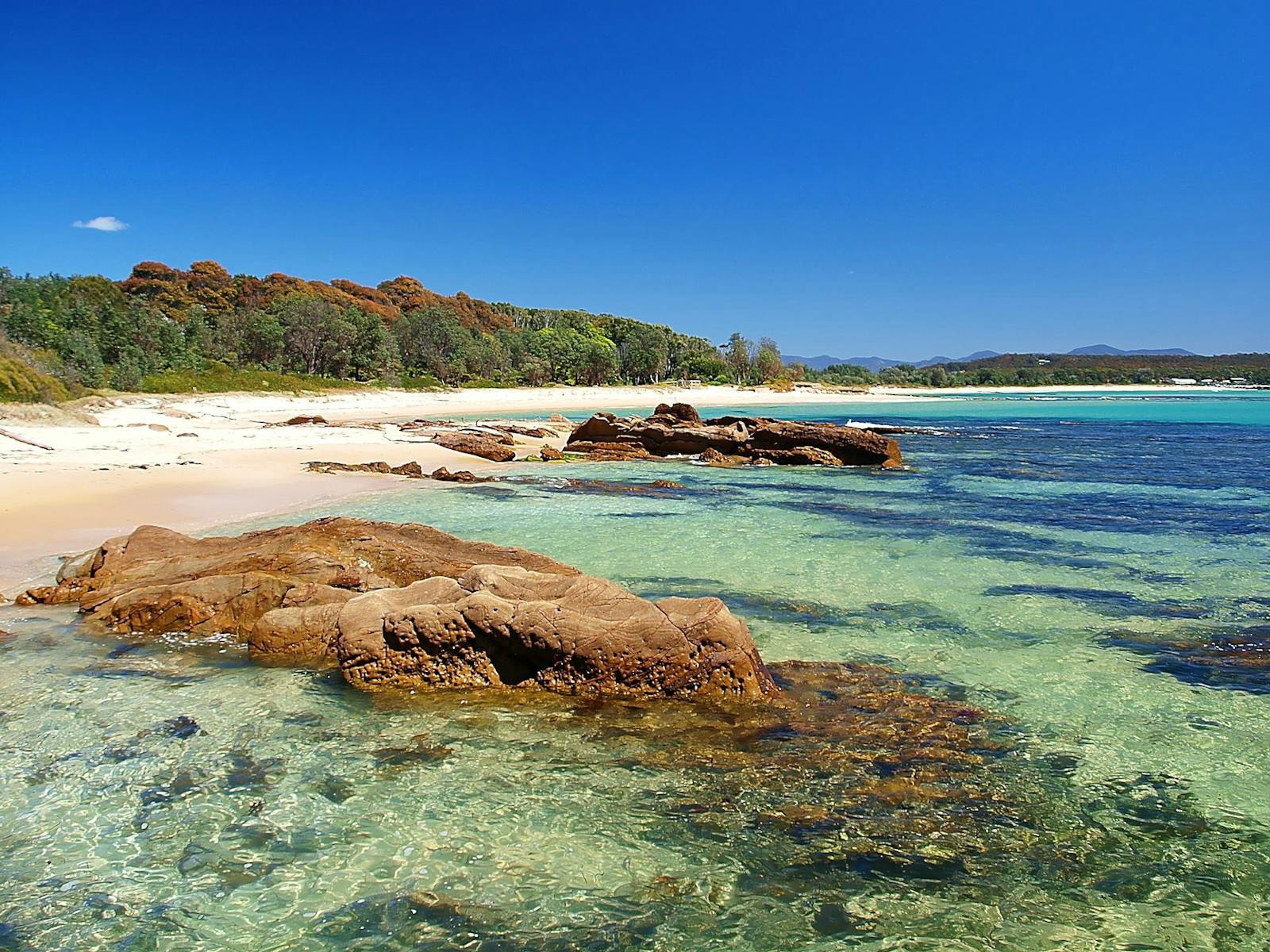 Shelly Beach
