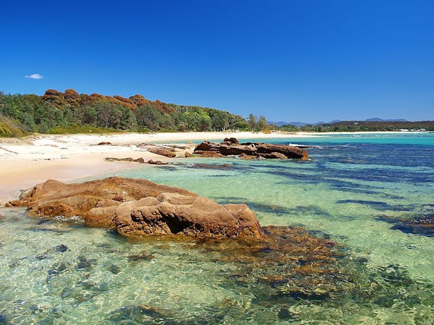 Shelly Beach Picnic Area - Moruya Heads