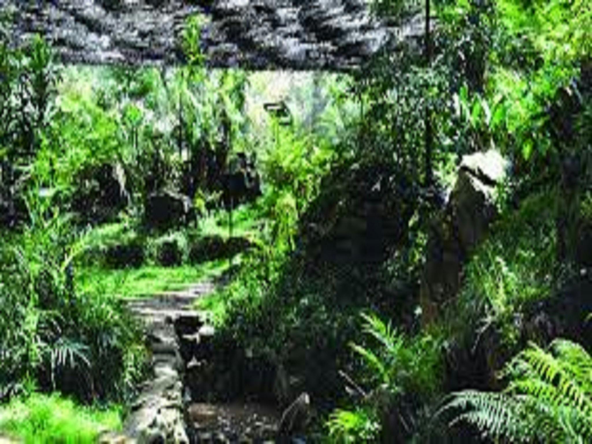 Burrendong Botanic Garden & Arboretum Wellington NSW