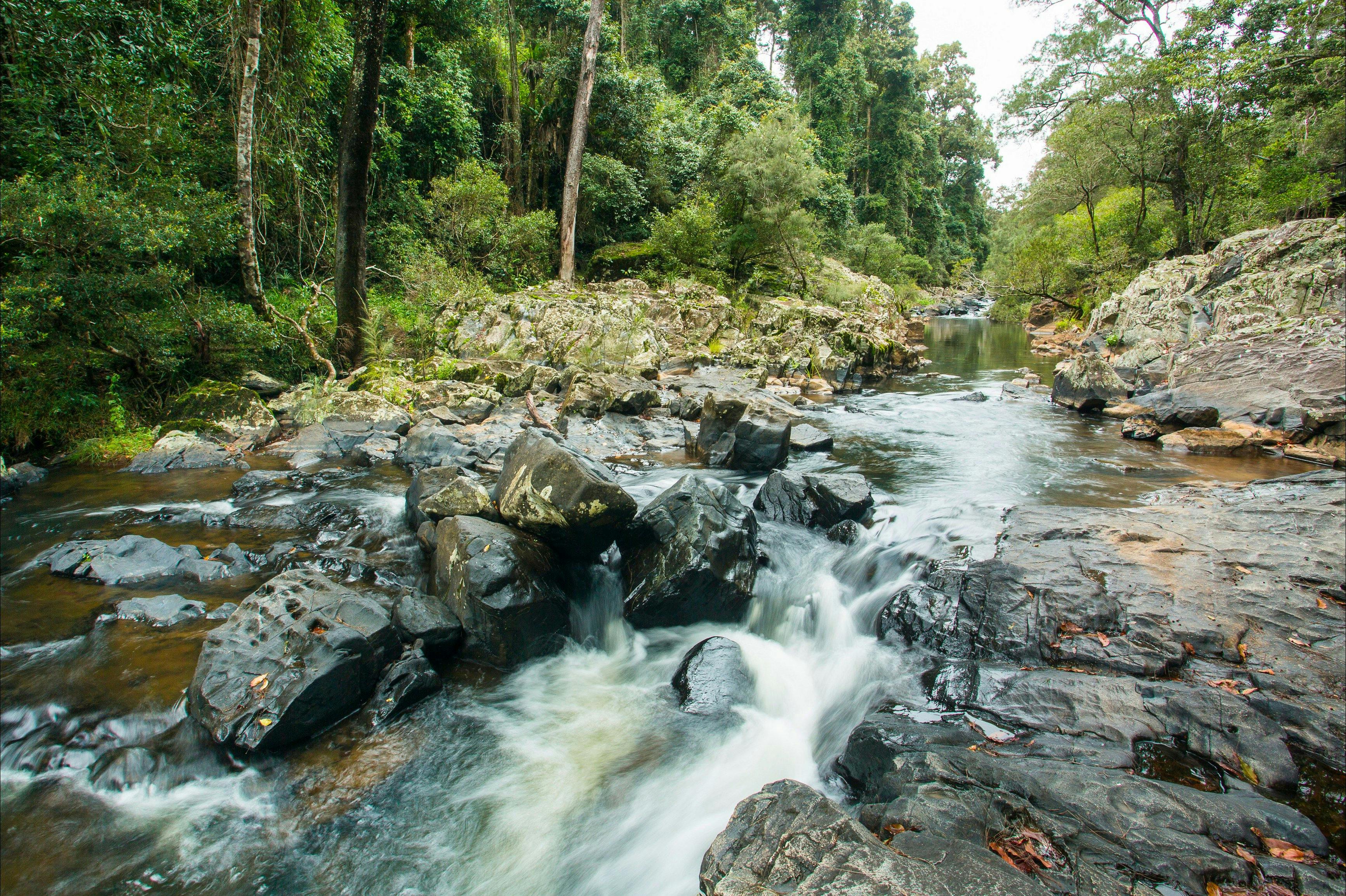 Finch Hatton Gorge