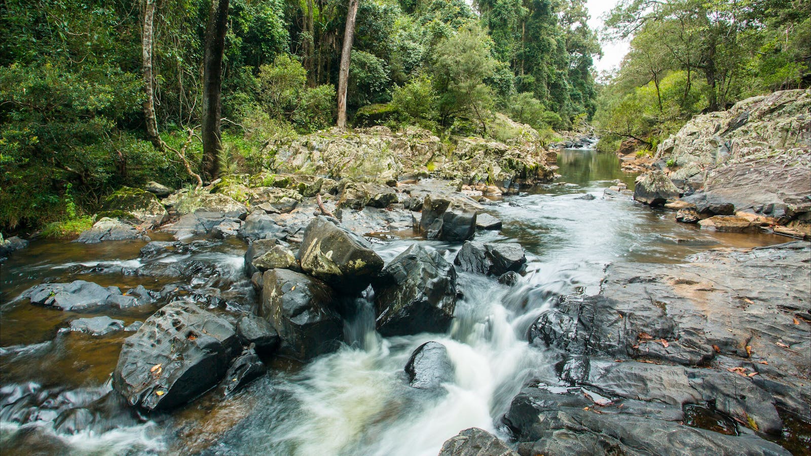 A Natural Adventure through The Mackay Region