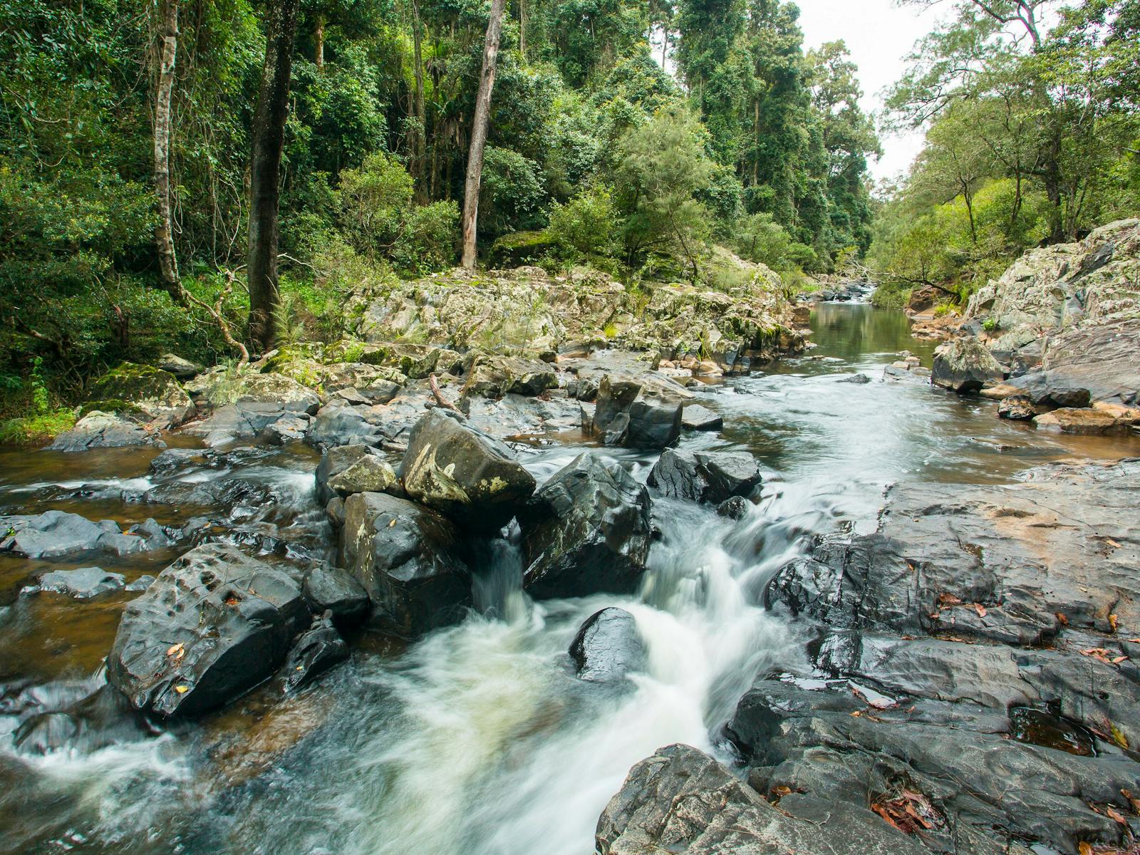 Finch Hatton Gorge