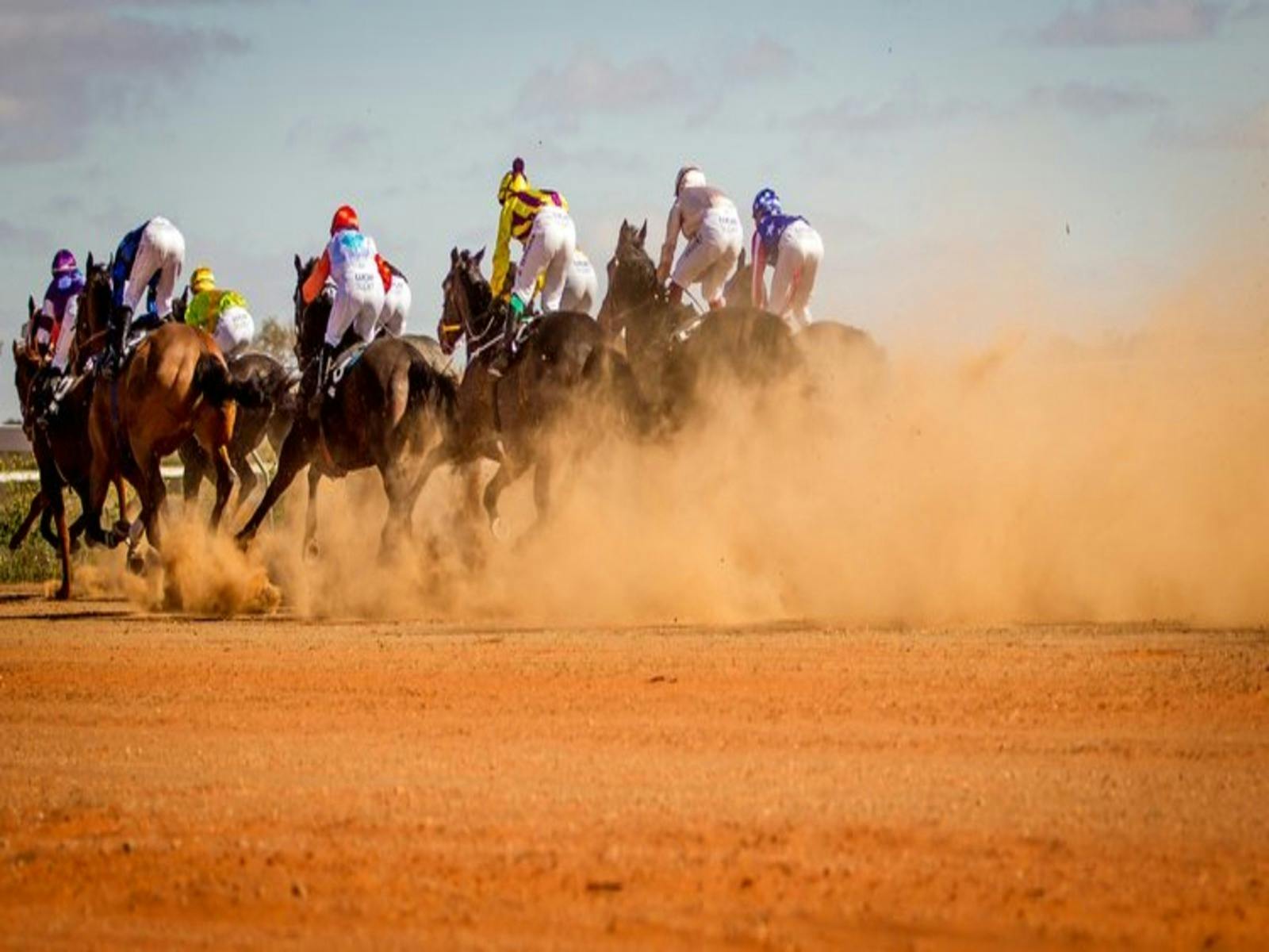 Louth Races
