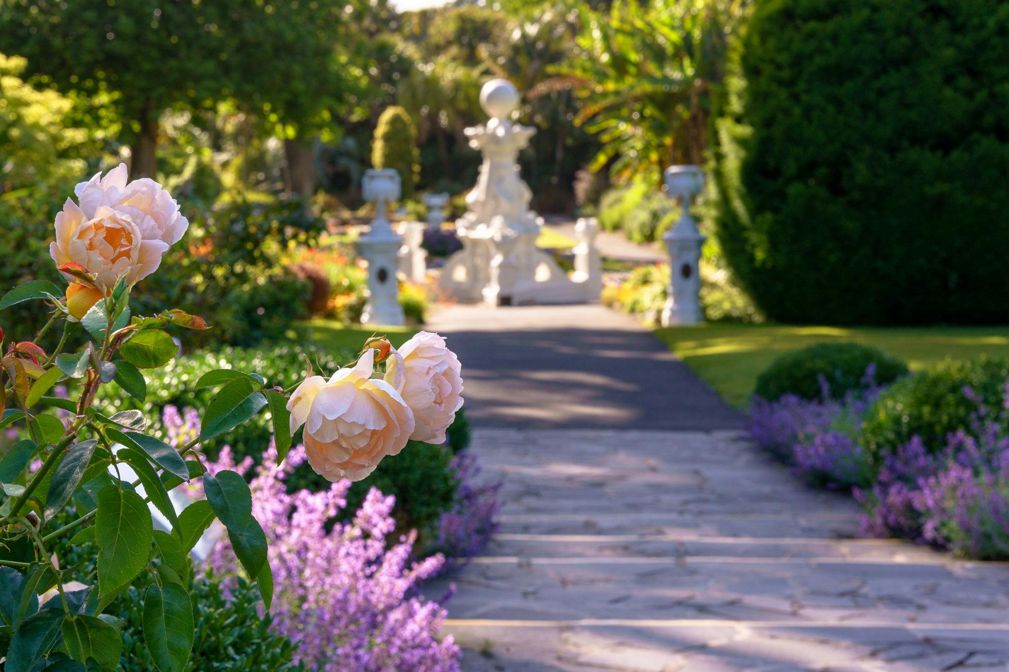 Friends of Geelong Botanic Gardens