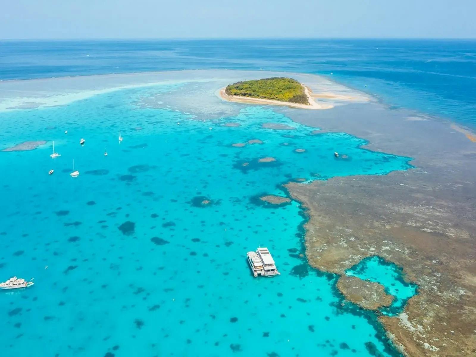 1770 & Lady Musgrave Island Eco Adventure