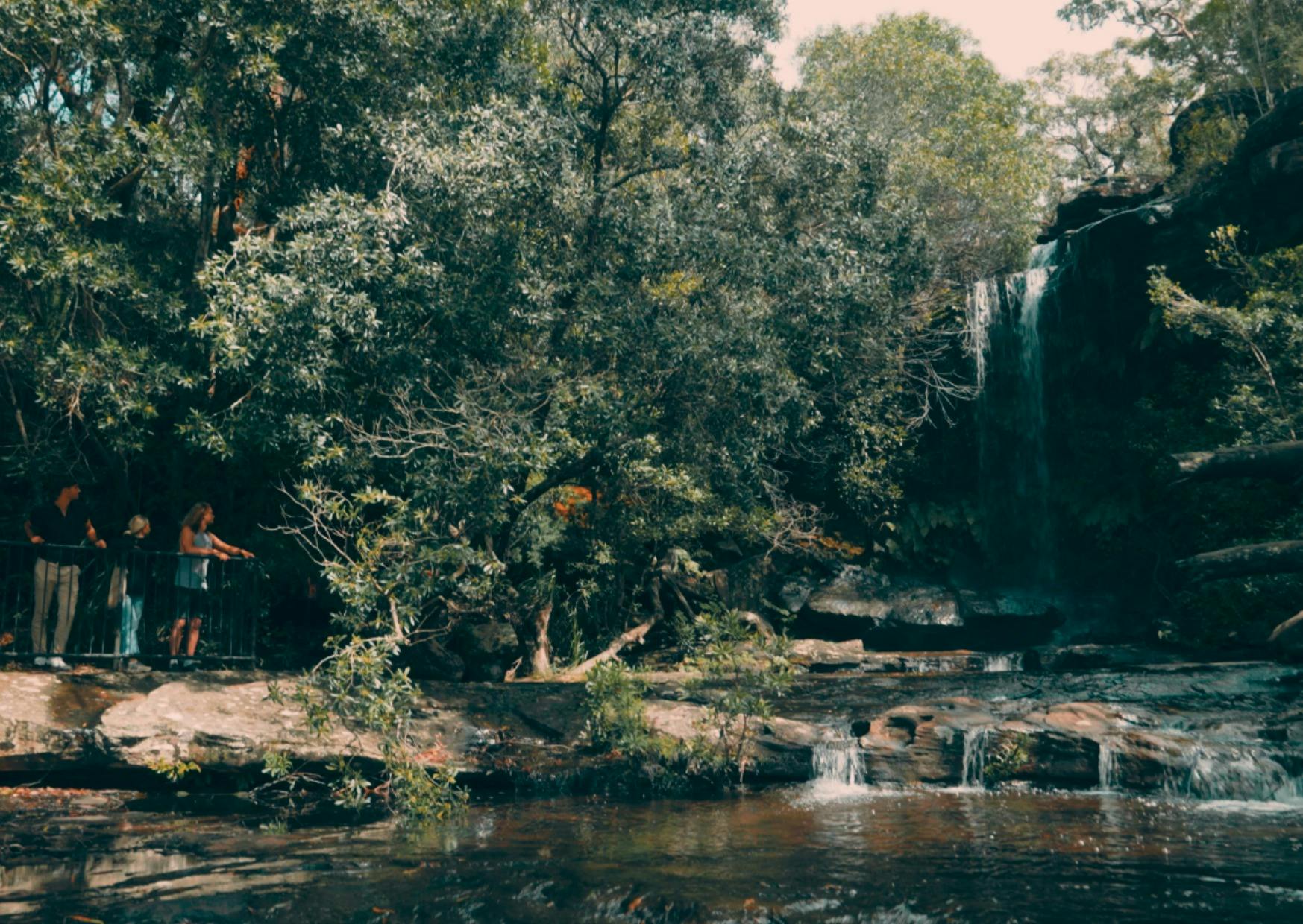 The National Falls at Royal National Park