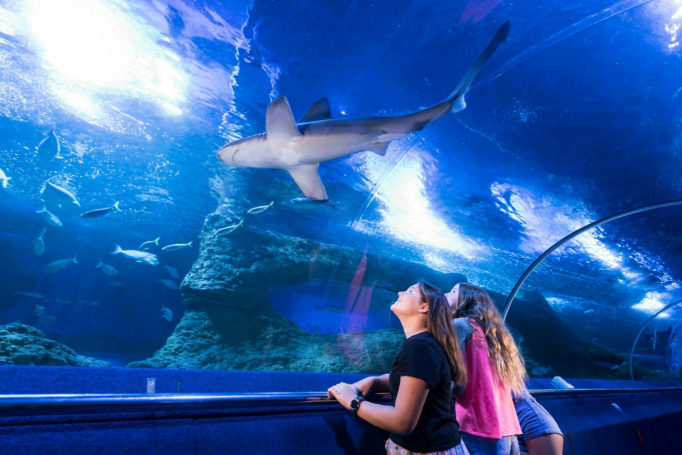AQWA - The Aquarium of Western Australia