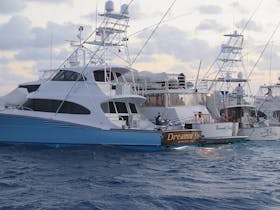 Game Fishing Boat Hire Queensland