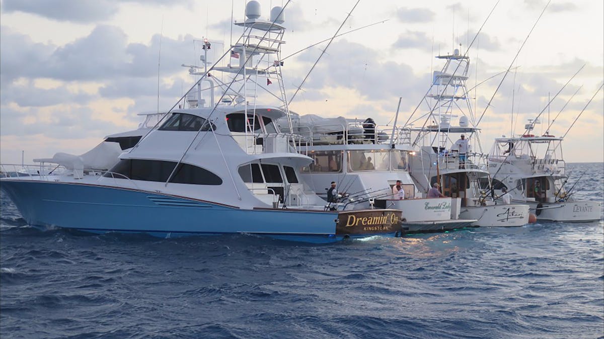 Game Fishing Boat Hire Queensland