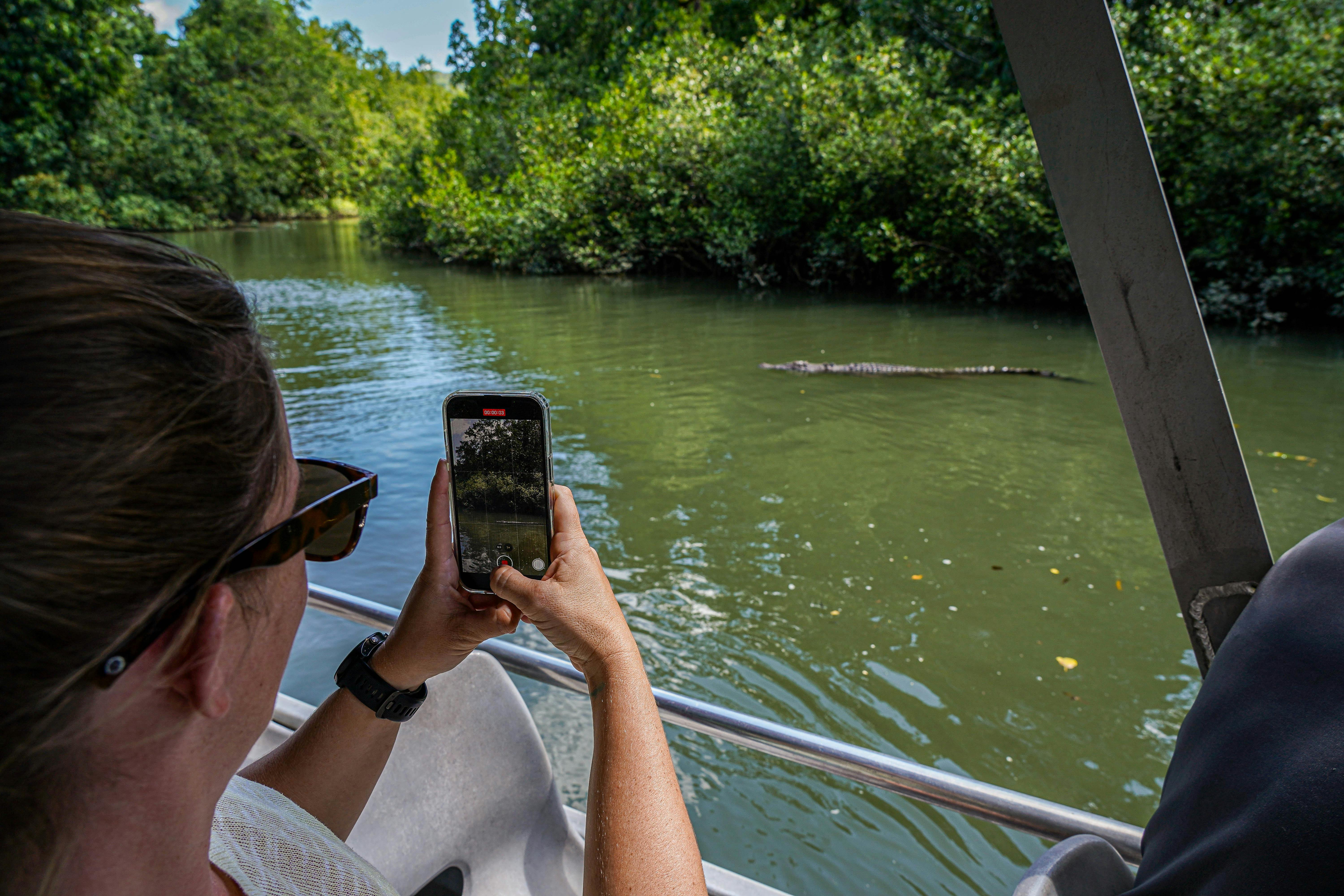Spot Crocodiles on the Daintree River