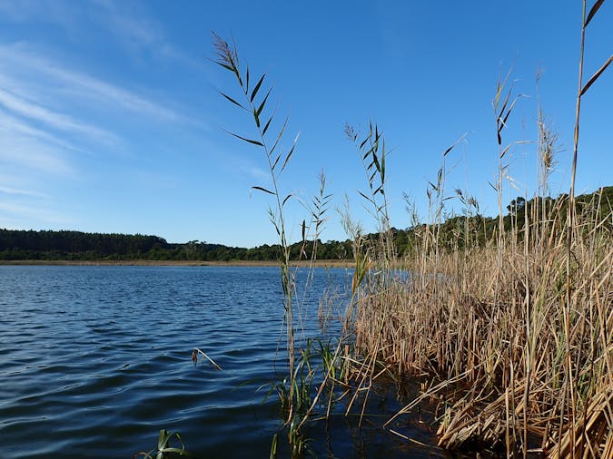 Lake Edward Glencoe SA