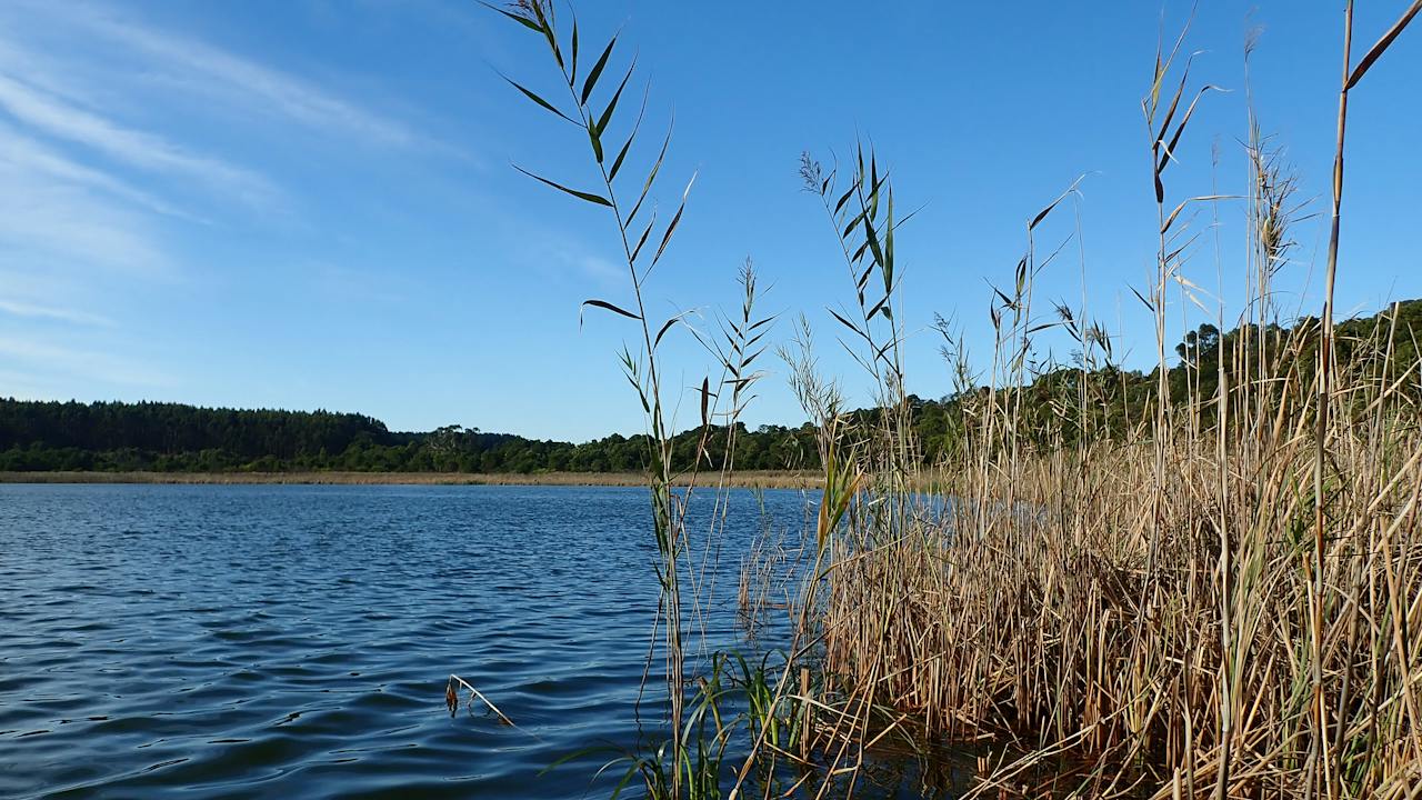 Lake Edward