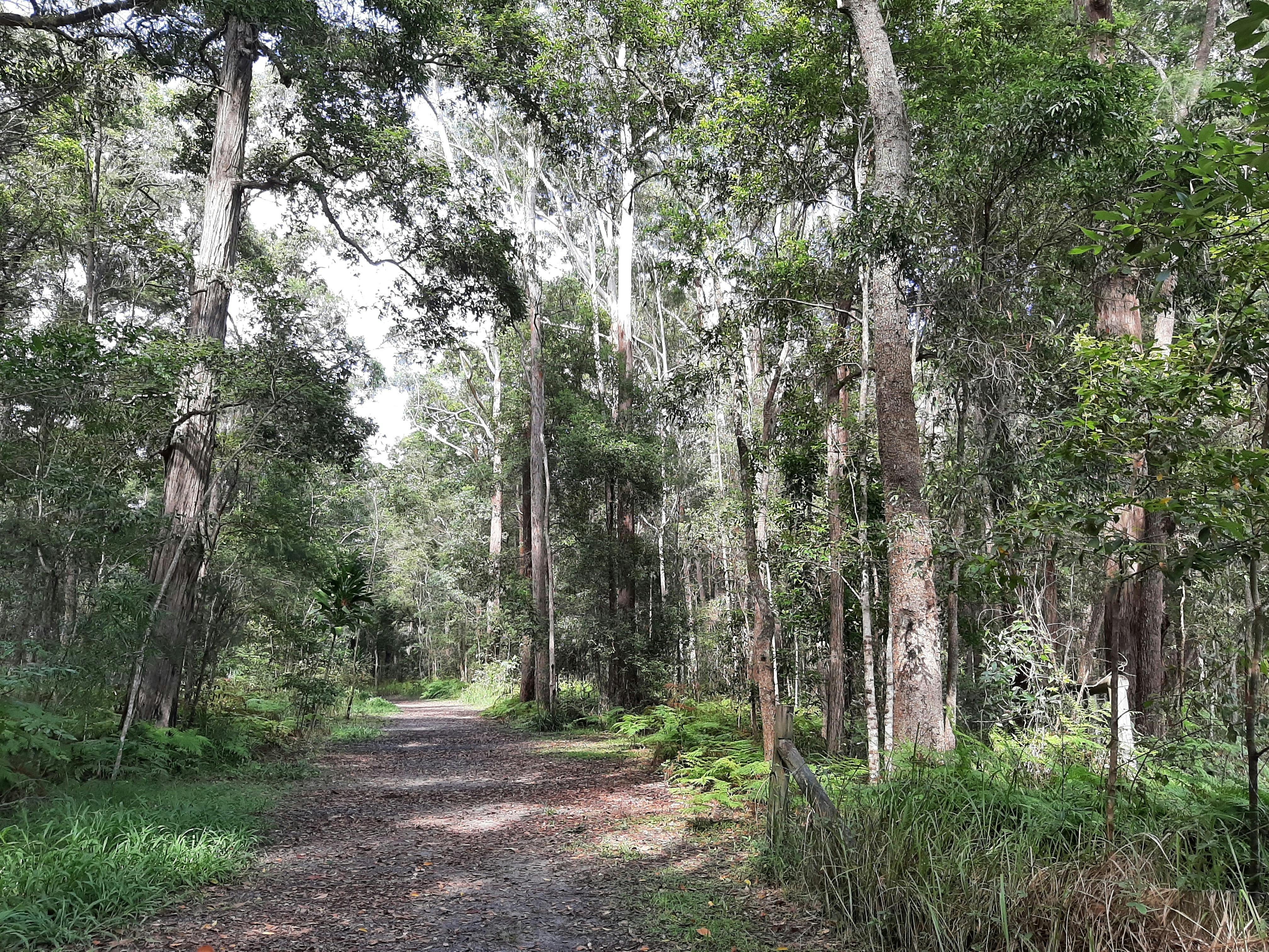 Mountain Creek trail