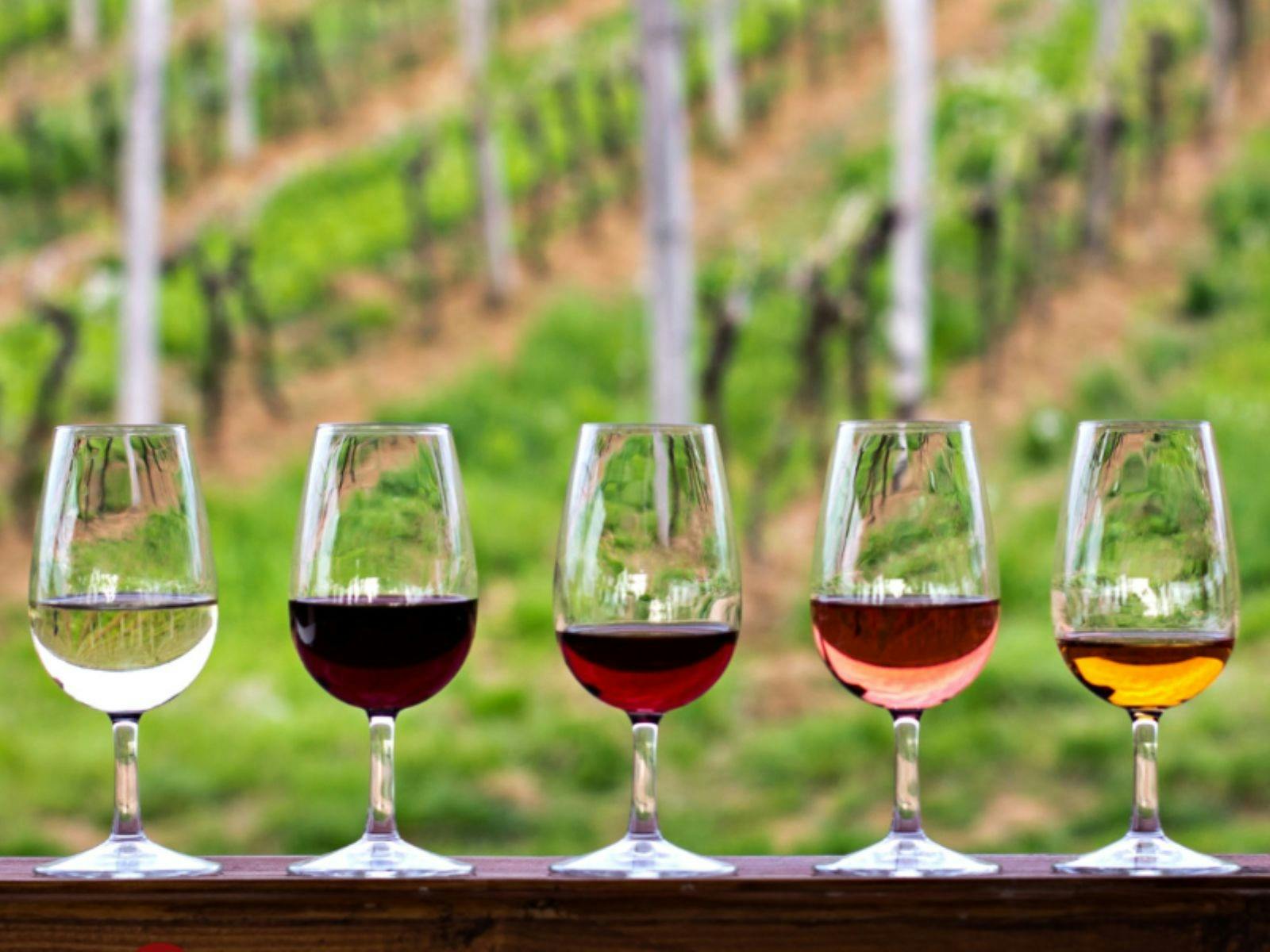 윈우드 에스테이트의 트와인 레스토랑까지 헬리콥터 타기