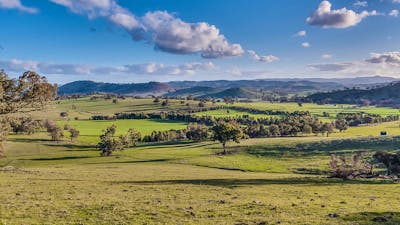 Coolac Cabins and Camping