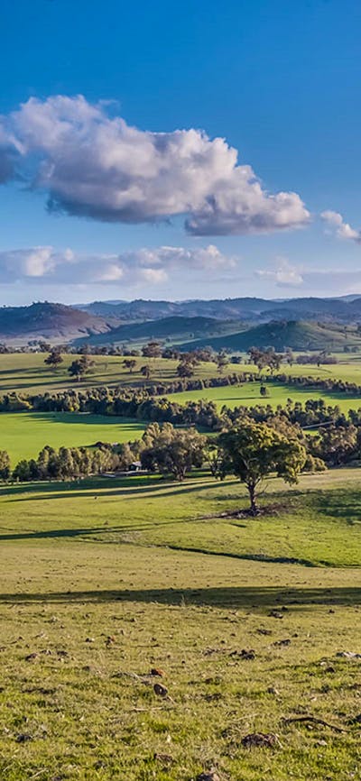 Coolac Cabins and Camping
