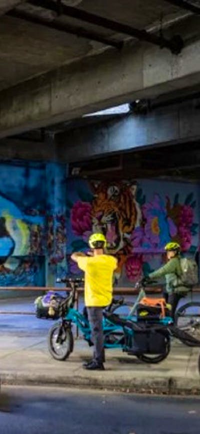 Group of cyclists looking at graffiti wall