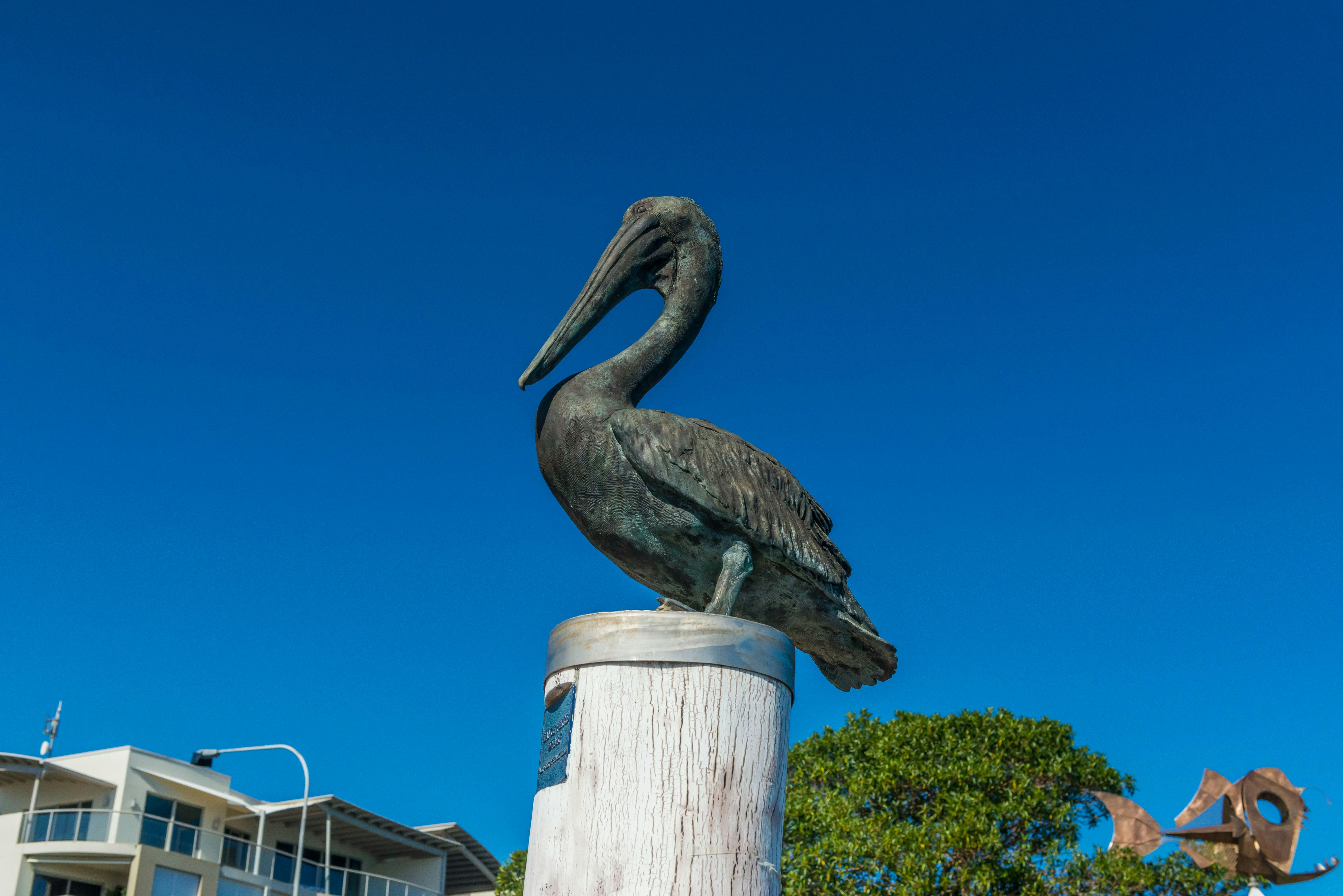 bronze pelican statue