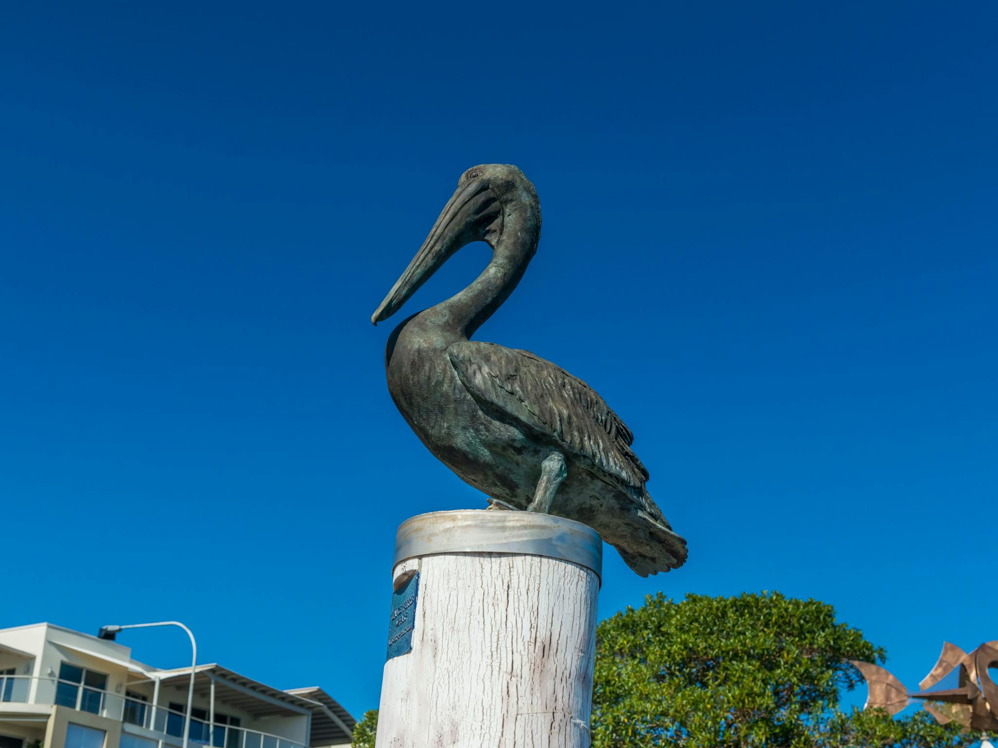 bronze pelican statue
