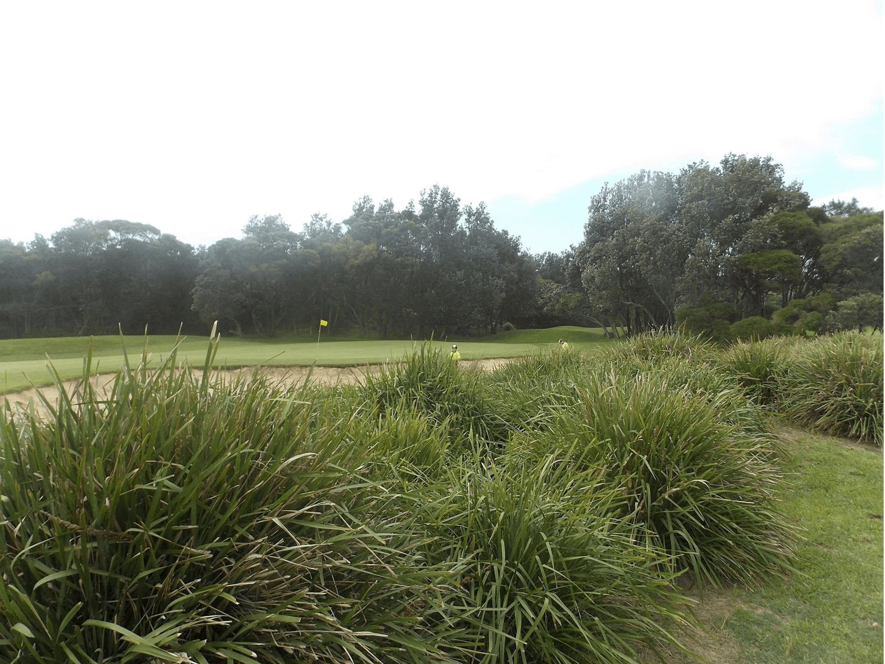 Shoalhaven Heads Golf Club