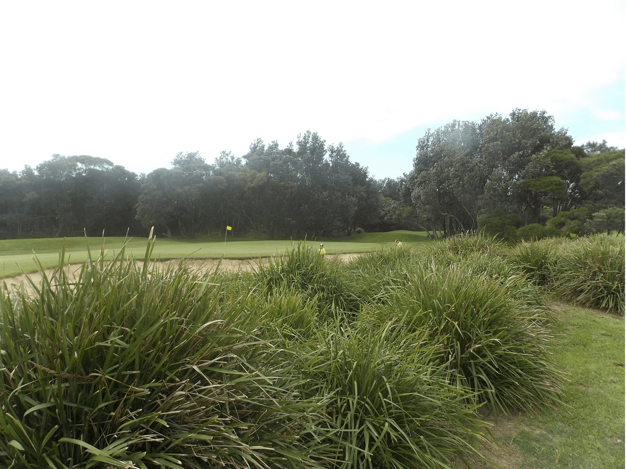 Shoalhaven Heads Golf Club