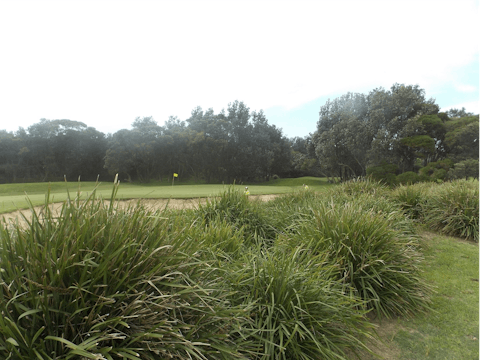Shoalhaven Heads Golf Club
