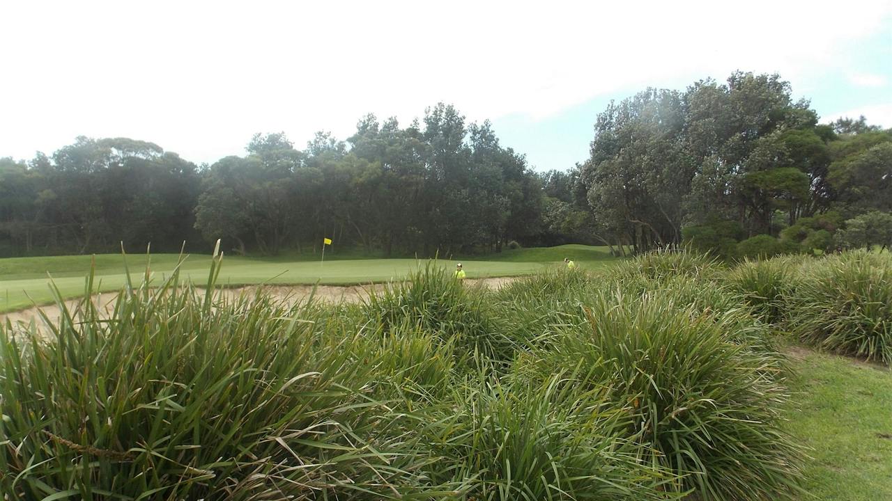 Shoalhaven Heads Golf Club