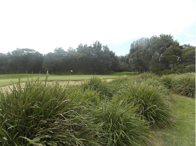 Shoalhaven Heads Golf Club