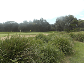 Shoalhaven Heads Golf Club