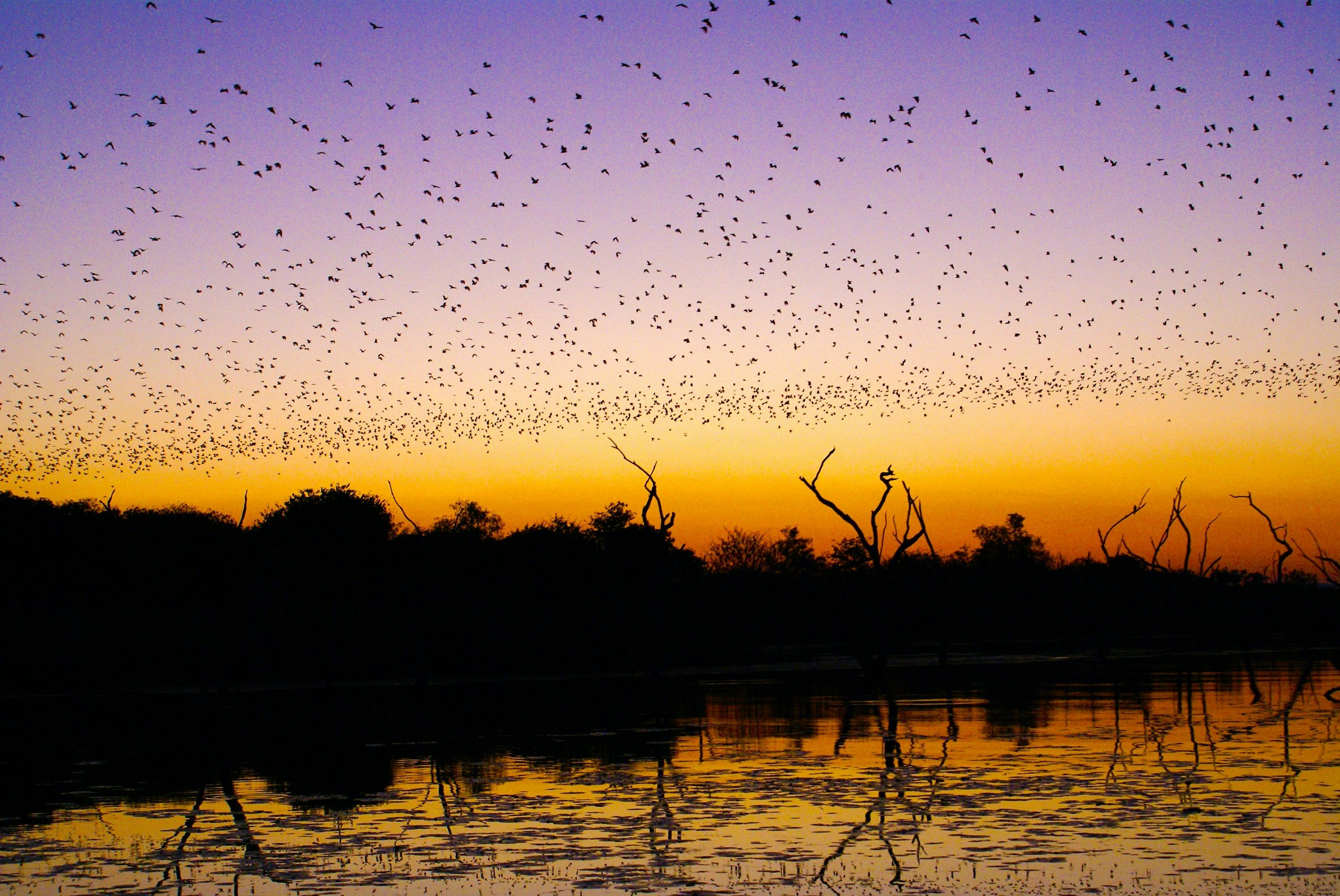 Triple J Tours, Kununurra, Western Australia