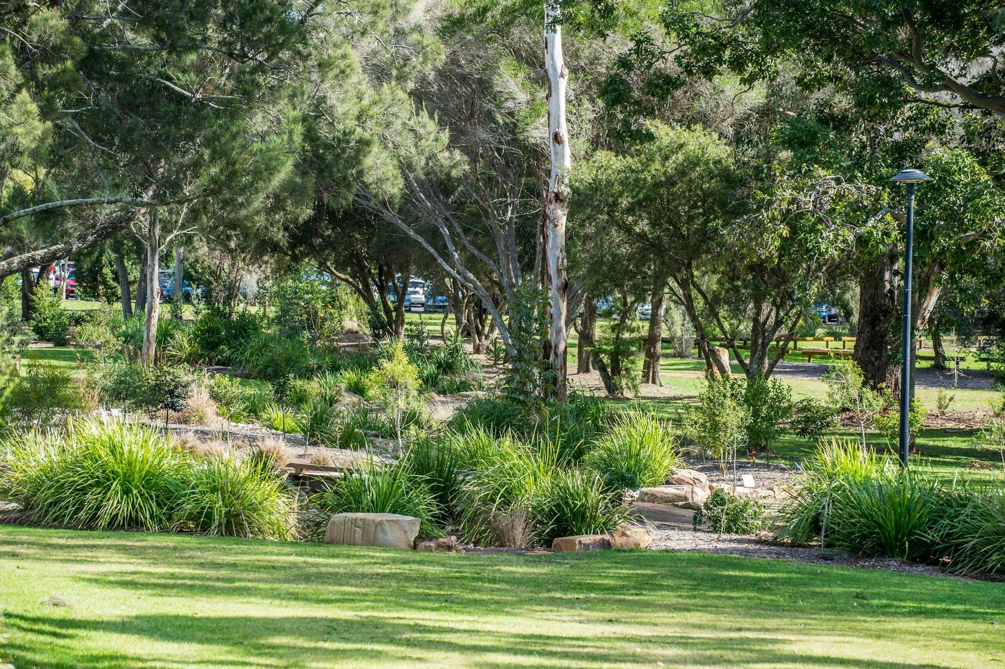 Park with green bushes and trees