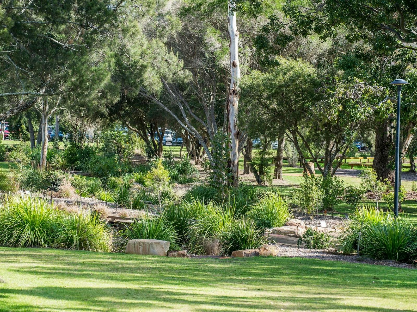 Park with green bushes and trees