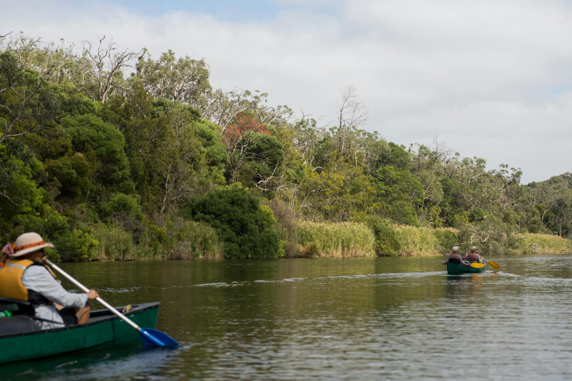 Anglesea Perfect for a natural adventureGlenelg River Canoe & Hike
