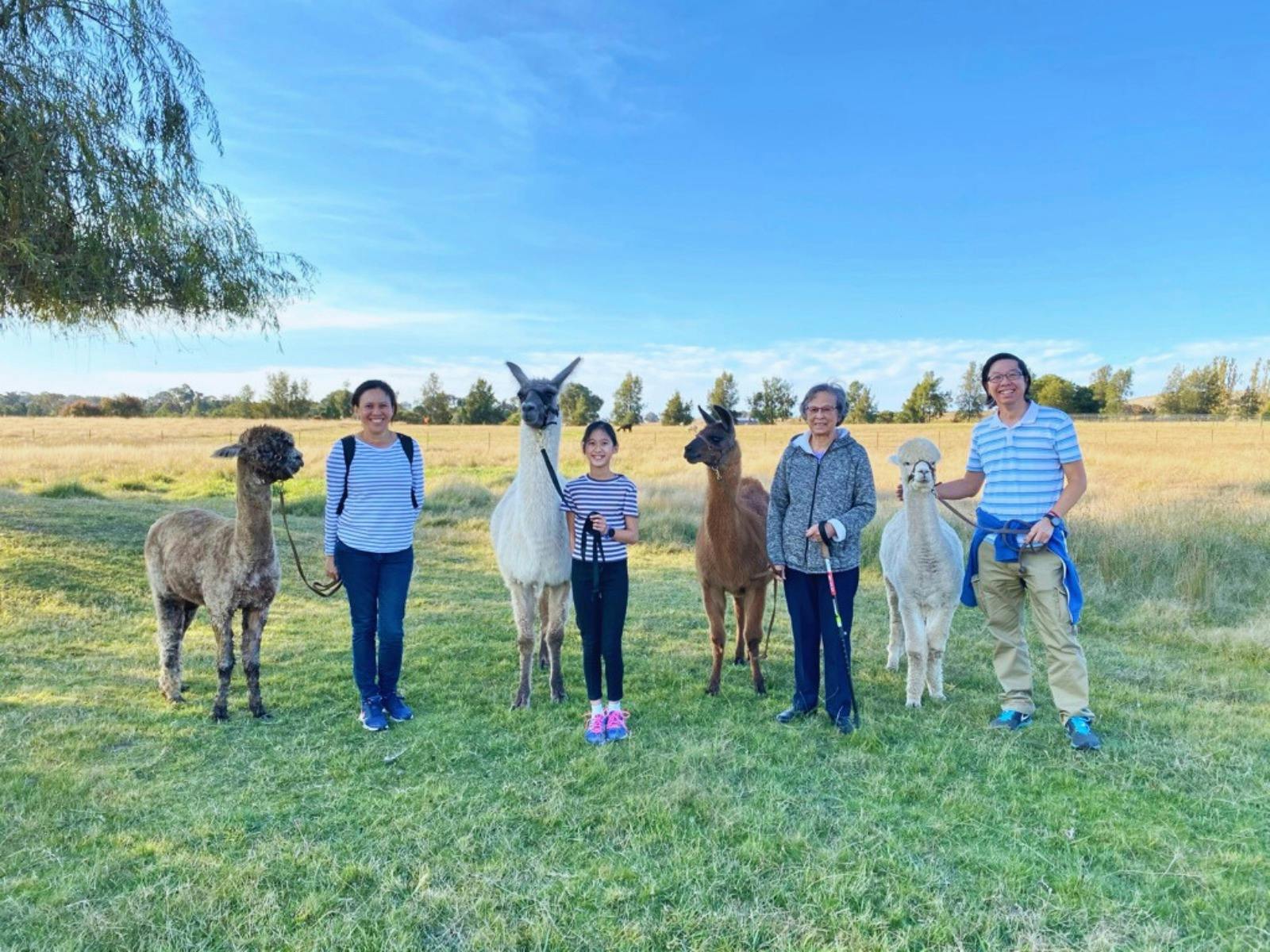 Interactive Tour (Private Tour)