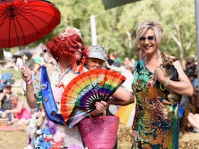 A drag queen holds a Rainbow Thorne Harbour health fan, their dress is covered in soft toys