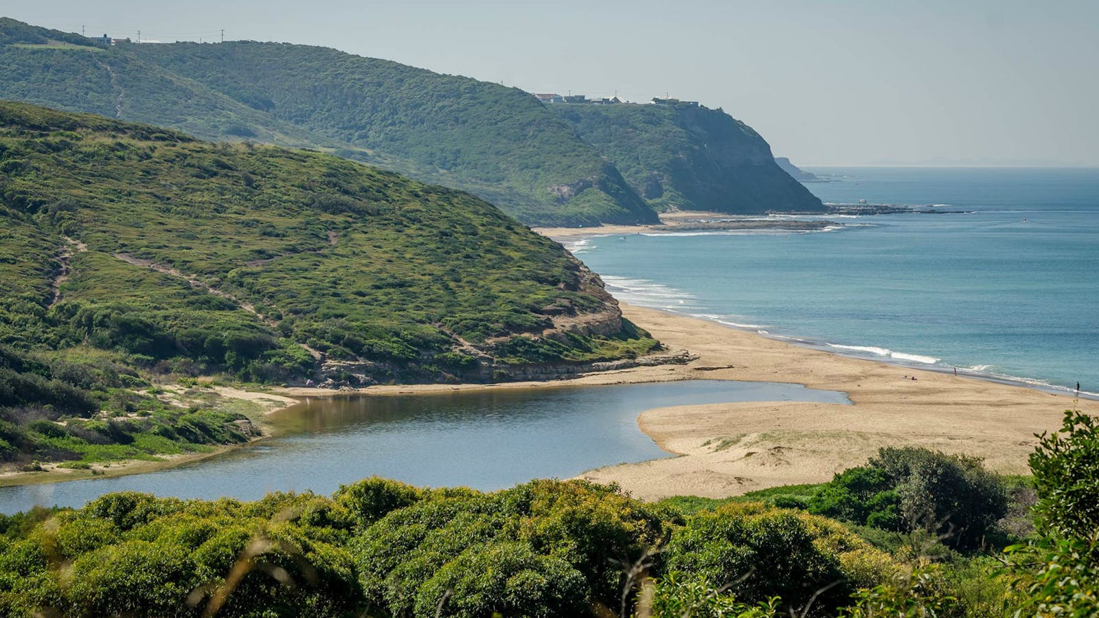 Leggy Point Loop Walking Track