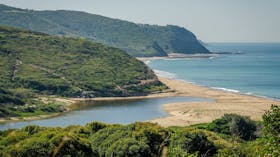 Leggy Point Loop Walking Track