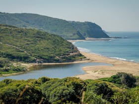 Leggy Point Loop Walking Track