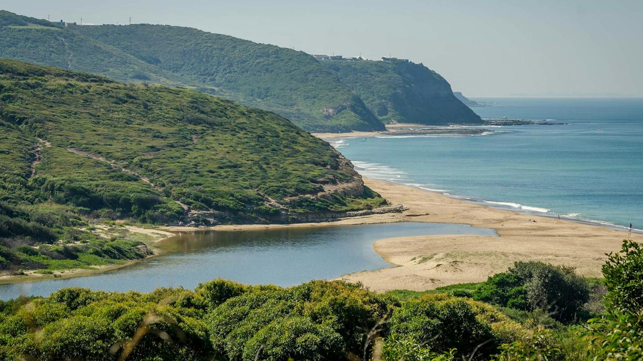 Leggy Point Loop Walking Track