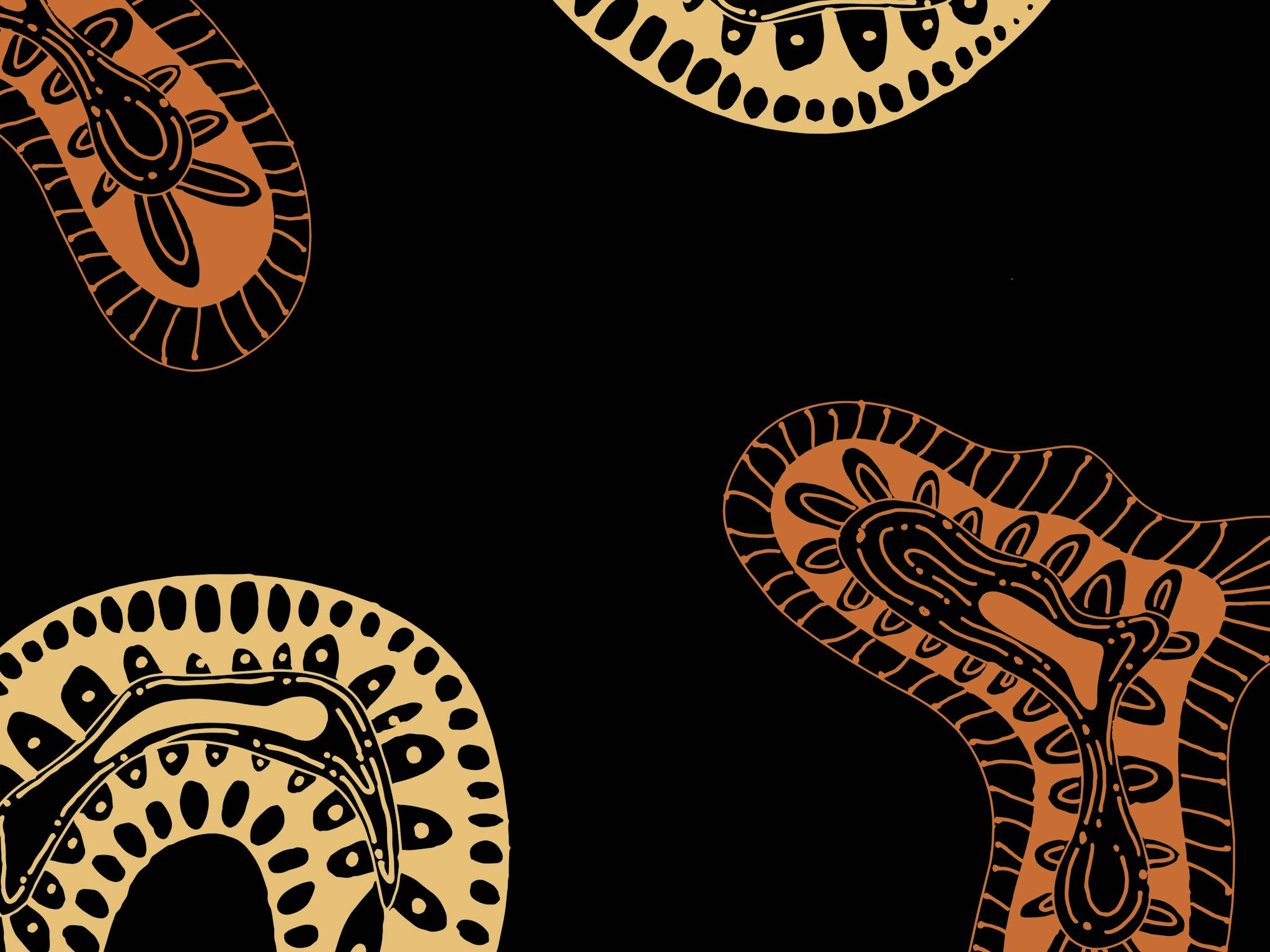 NAIDOC NAIDOC